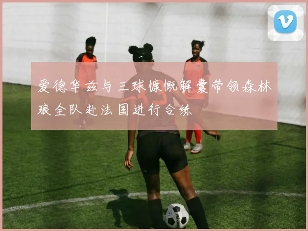 爱德华兹与三球慷慨解囊带领森林狼全队赴法国进行合练